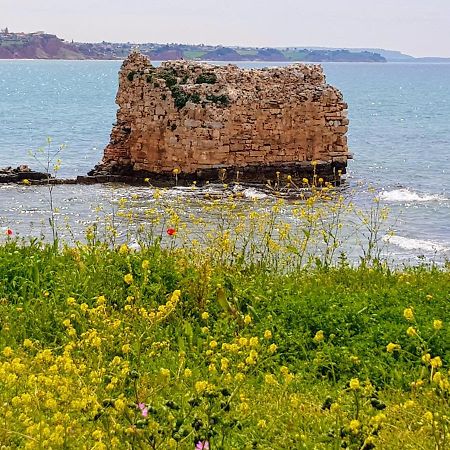 Villa Isi Nea Potidea Esterno foto